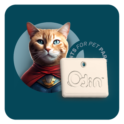 Odin Litter Box Odor Neutralizer